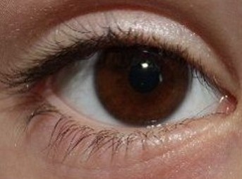 Болит глаз зрительный нерв