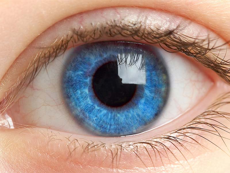 Глаз. Синие глаза. Человеческий глаз. Синий цвет глаз.